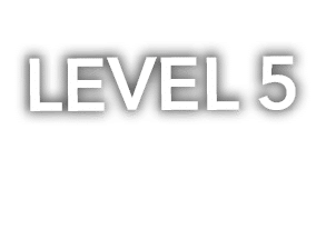 LEVEL 5