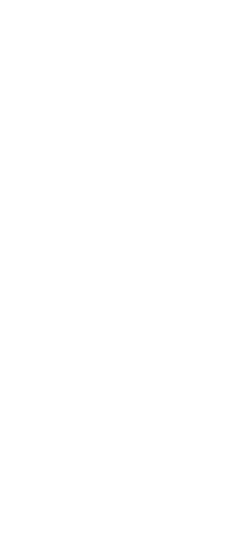 13 8  SUMMARY AND CONCLUSION Preferential Procurement Generic Preferential Procurement achieved 29 3 points which is    