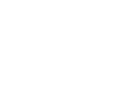 Other executive management
