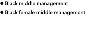 l Black middle management l Black female middle management 