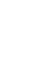 Senior management