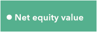 l Net equity value