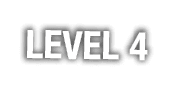 LEVEL 4