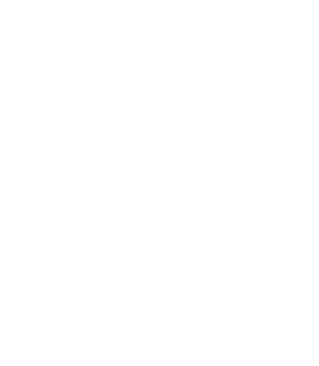 2013 - 2020 AVERAGE EXECUTIVE FEMALE REPRESENTATION 15% 