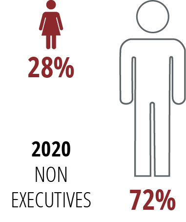 2020 NON EXECUTIVES,72%,28
