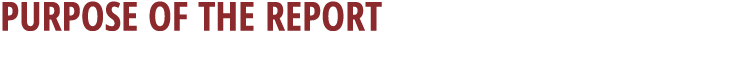  PURPOSE OF THE REPORT