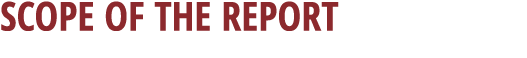  Scope of the report